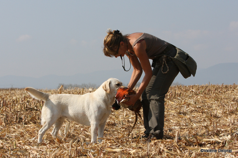 Field Erstein 09 (182).JPG